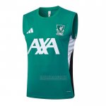 Camisola de Treinamento Tottenham Hotspur Sin Mangas 2025-2026 Verde