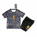 Camisola Inglaterra Special Crianca 2024 Cinza