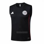 Camisola de Treinamento Ajax Sin Mangas 2025-2026 Preto
