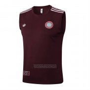 Camisola de Treinamento Bayern de Munique Sem Mangas 2025-2026 Vermelho