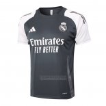 Camisola de Treinamento Real Madrid 2024-2025 Cinza