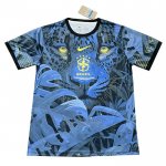 Tailandia Camisola Brasil Special 2024-2025 Azul