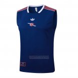 Camisola de Treinamento Arsenal Sem Mangas 2025-2026 Azul