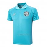 Camisola Polo del Palmeiras 2023-2024 Verde