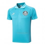 Camisola Polo del Palmeiras 2023-2024 Verde