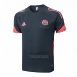 Camisola de Treinamento Bayern de Munique 2025-2026 Cinza Oscuro