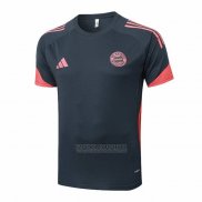 Camisola de Treinamento Bayern de Munique 2025-2026 Cinza Oscuro