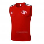 Camisola de Treinamento Flamengo Sem Mangas 2025-2026 Vermelho