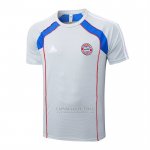 Camisola de Treinamento Bayern de Munique 2025-2026 Cinza