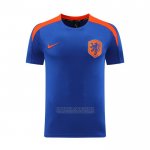 Camisola de Treinamento Holanda 2024-2025 Azul