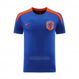 Camisola de Treinamento Holanda 2024-2025 Azul