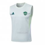 Camisola de Treinamento Al-Ahli Saudi Sin Mangas 2025-2026 Branco