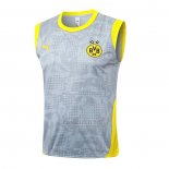 Camisola de Treinamento Dortmund Sin Mangas 2025-2026 Cinza