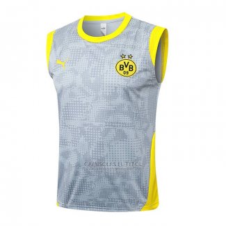 Camisola de Treinamento Dortmund Sin Mangas 2025-2026 Cinza