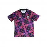 Camisola Pre Match del Lyon 2025-2026 Purpura