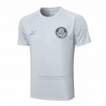 Camisola de Treinamento Palmeiras 2023-2024 Cinza