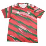 Camisola Pre Match del Pais de Gales 2024 Vermelho
