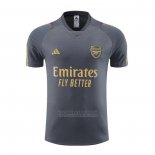 Camisola de Treinamento Arsenal 2023-2024 Cinza