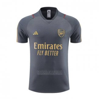 Camisola de Treinamento Arsenal 2023-2024 Cinza