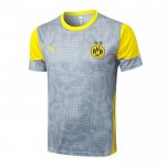 Camisola de Treinamento Dortmund 2025-2026 Cinza