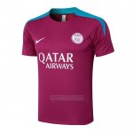 Camisola de Treinamento Paris Saint-Germain 2024-2025 Purpura