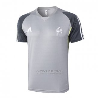 Camisola de Treinamento Atletico Mineiro 2024-2025 Cinza