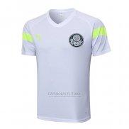 Camisola de Treinamento Palmeiras 2023-2024 Branco