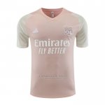 Camisola de Treinamento Lyon 2023-2024 Rosa
