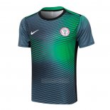 Camisola de Treinamento Nigeria 2024-2025 Cinza Verde
