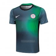 Camisola de Treinamento Nigeria 2024-2025 Cinza Verde