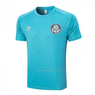 Camisola de Treinamento Palmeiras 2023-2024 Verde