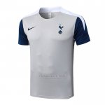 Camisola de Treinamento Tottenham Hotspur 2025-2026 Cinza