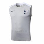 Camisola de Treinamento Tottenham Hotspur Sin Mangas 2025-2026 Cinza