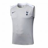 Camisola de Treinamento Tottenham Hotspur Sin Mangas 2025-2026 Cinza
