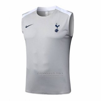 Camisola de Treinamento Tottenham Hotspur Sin Mangas 2025-2026 Cinza