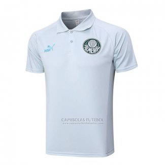 Camisola Polo del Palmeiras 2023-2024 Cinza