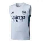 Camisola de Treinamento Arsenal Sin Mangas 2025-2026 Cinza