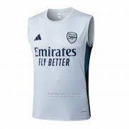 Camisola de Treinamento Arsenal Sin Mangas 2025-2026 Cinza