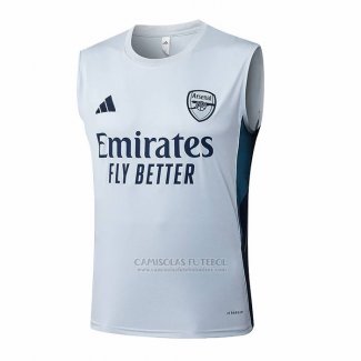Camisola de Treinamento Arsenal Sin Mangas 2025-2026 Cinza
