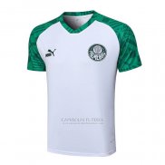 Camisola de Treinamento Palmeiras 2023-2024 Branco