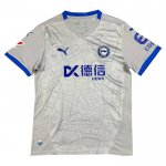 Tailandia Camisola Avai Goleiro 2024 Cinza