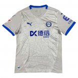 Tailandia Camisola Avai Goleiro 2024 Cinza